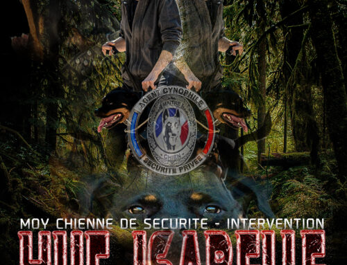 AFFICHE ISABELLE
