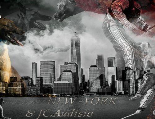 JC NEW YORK