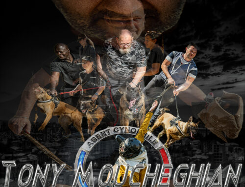 MONTAGE SECU TONY